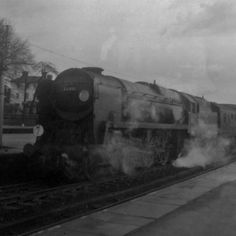 11 at Basingstoke on 02/01/1966  (P Stringer) 